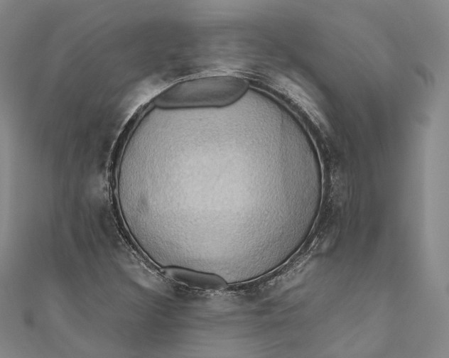 X0000110971308200907101340