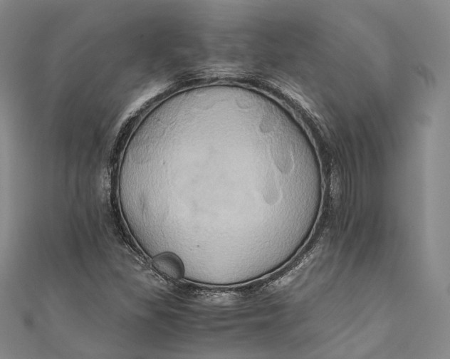 X0000110971309200907101340