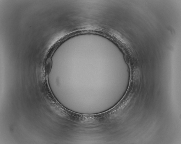 X0000110971310200907101340