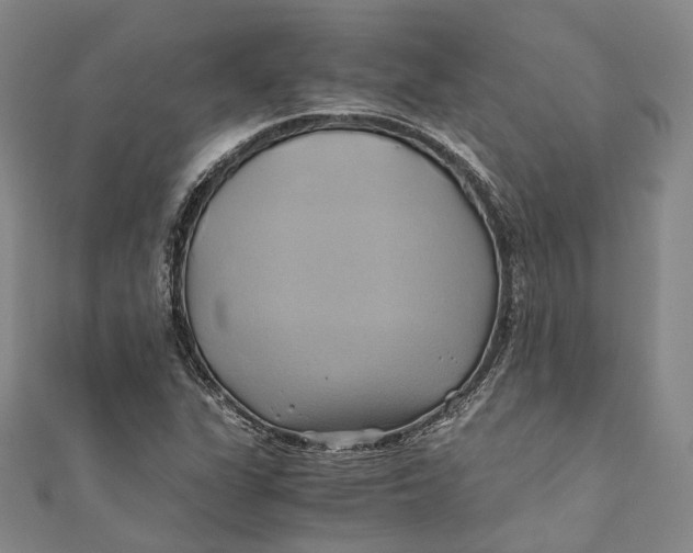 X0000110971311200907101340