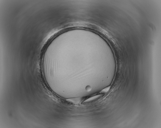 X0000110971312200907101340