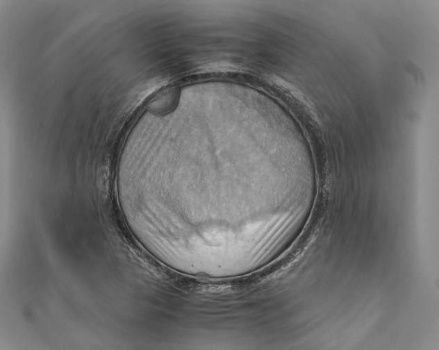 X0000110971313200907101340