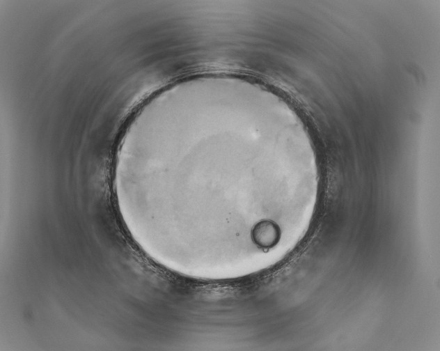 X0000110971314200907101340