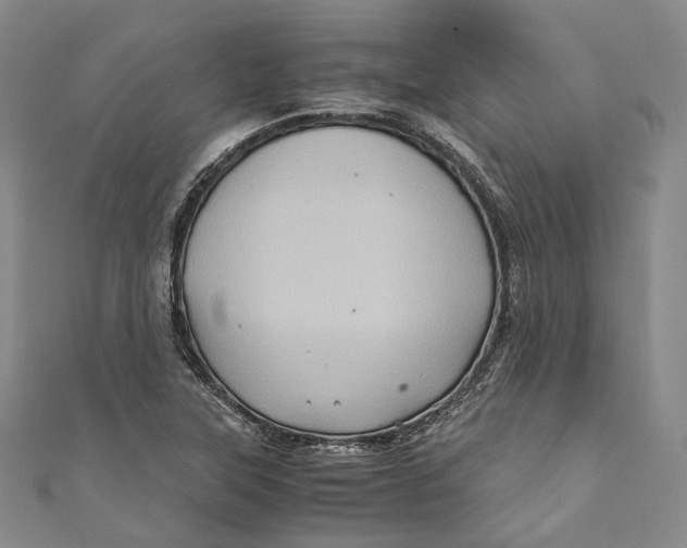 X0000110971315200907101340