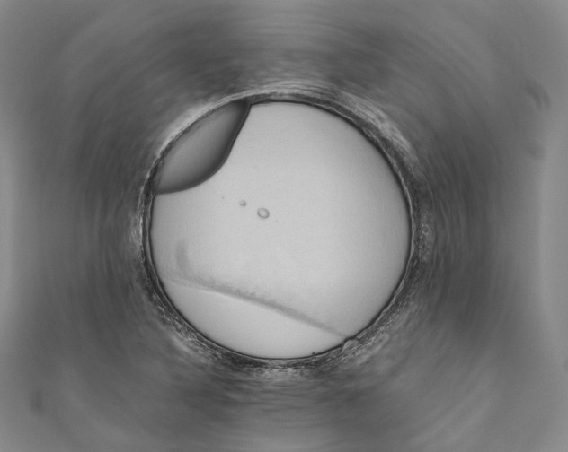 X0000110971316200907101340