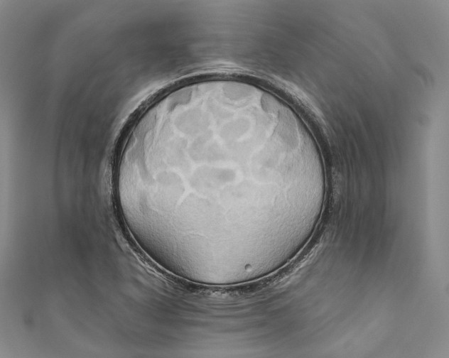 X0000110971318200907101340