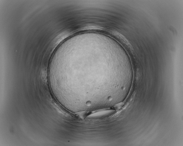 X0000110971321200907101340