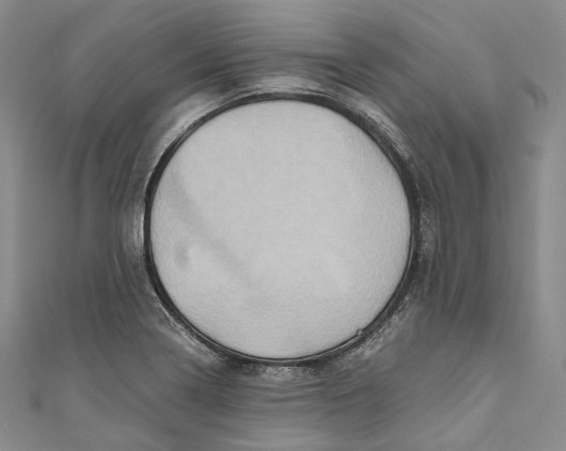 X0000110971322200907101340