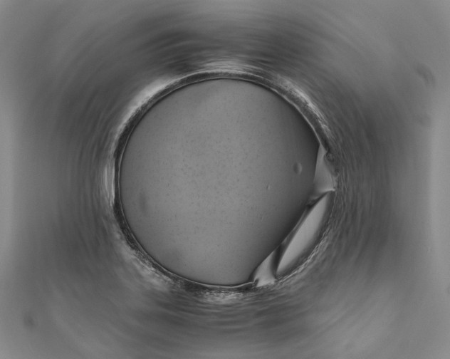 X0000110971323200907101341