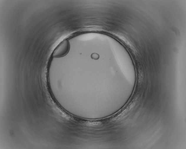 X0000110971325200907101341