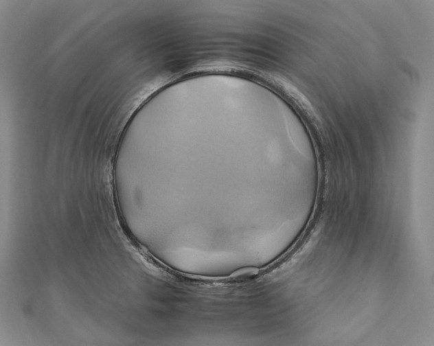 X0000110971329200907101341