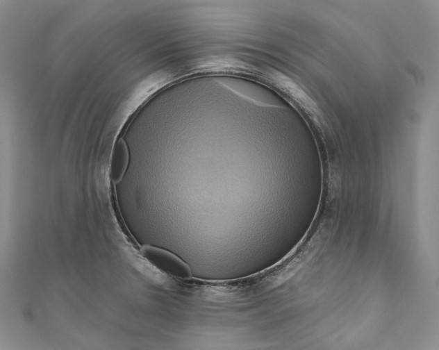 X0000110971330200907101341