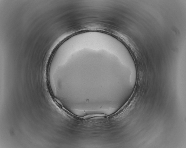 X0000110971331200907101341