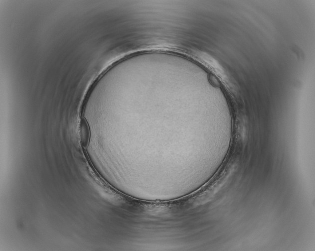 X0000110971332200907101341