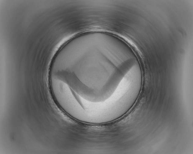 X0000110971333200907101341