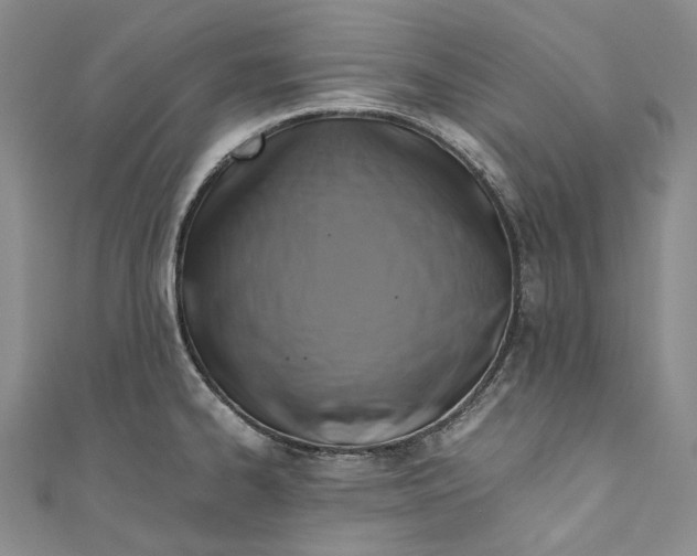 X0000110971334200907101341