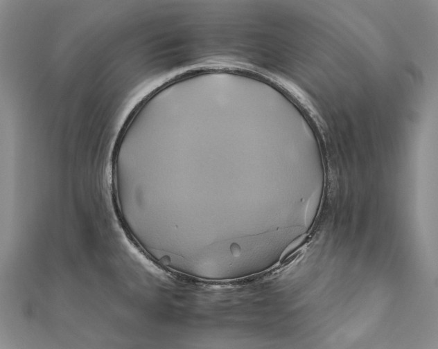 X0000110971335200907101341