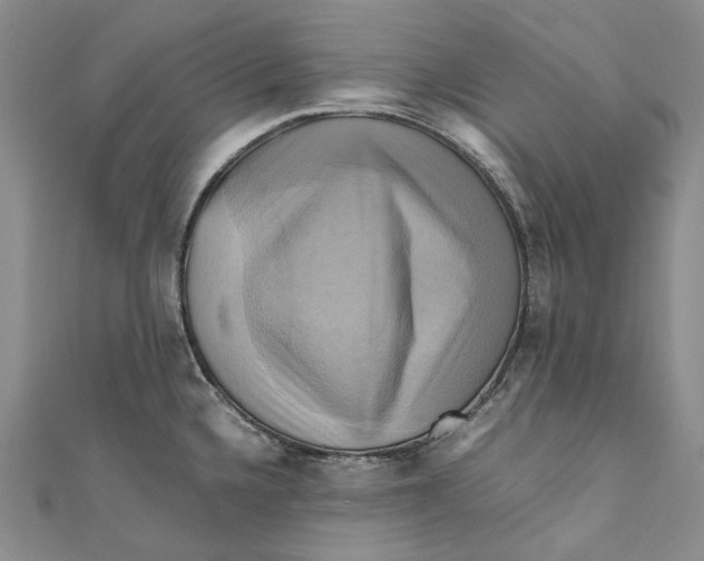 X0000110971336200907101341