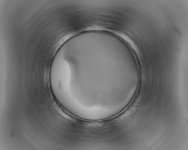 X0000110971337200907101341