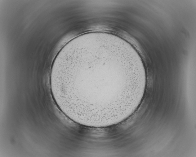 X0000110971338200907101341