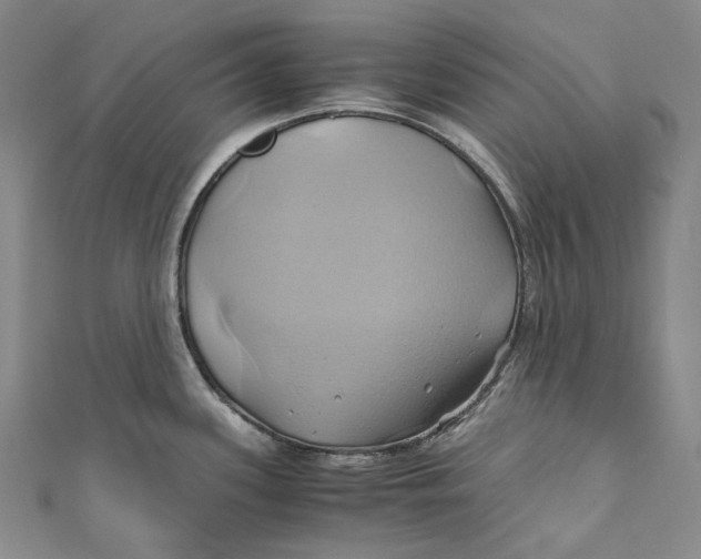 X0000110971339200907101341