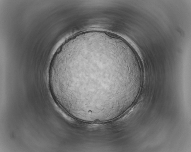 X0000110971341200907101341