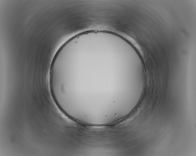 X0000110971343200907101341