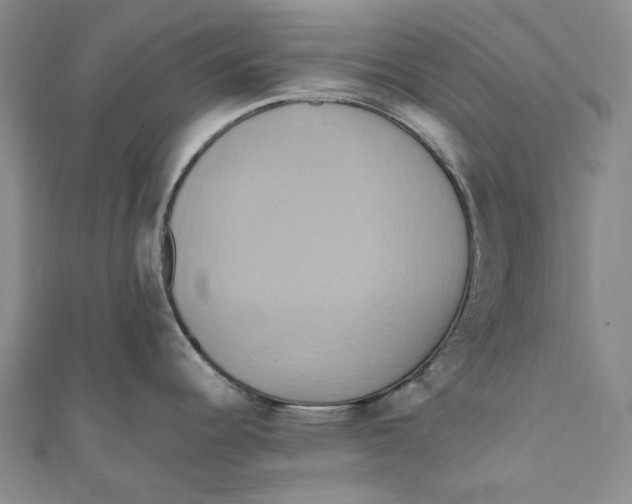 X0000110971344200907101341