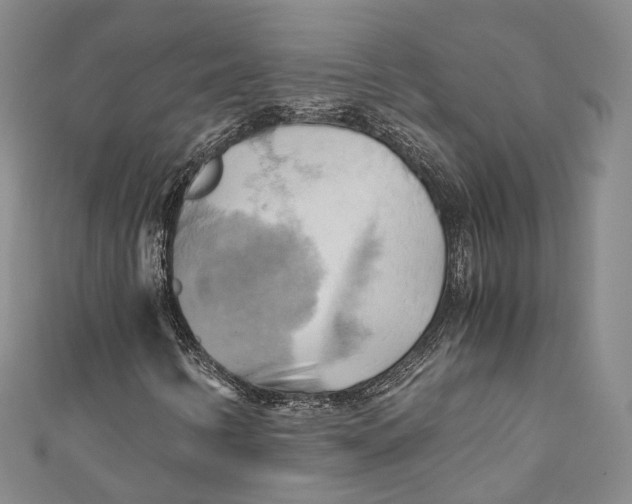 X0000110971346200907101340