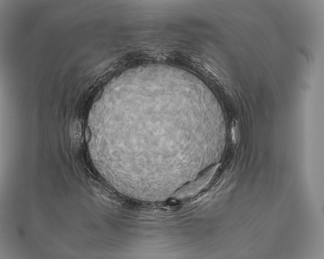 X0000110971347200907101340