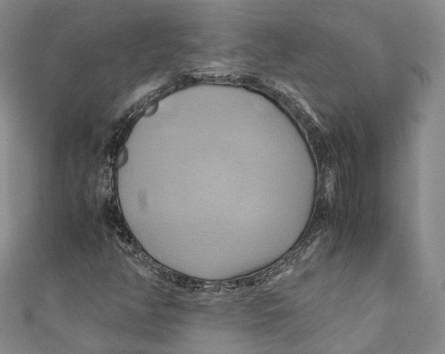 X0000110971350200907101340