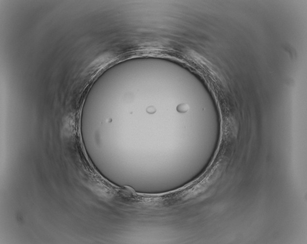 X0000110971353200907101340