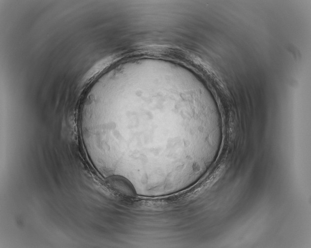 X0000110971354200907101340