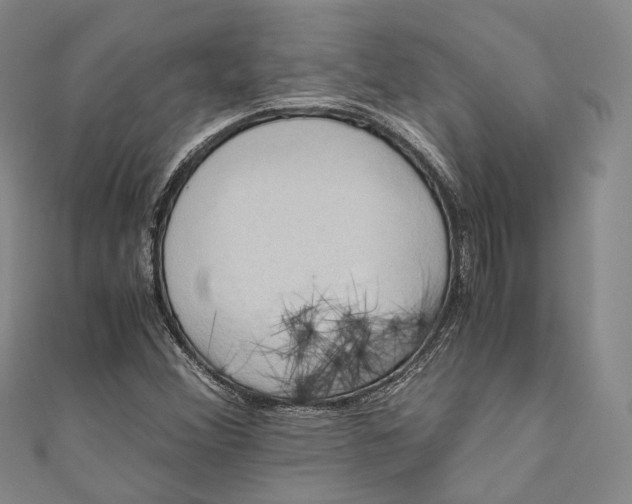 X0000110971356200907101340