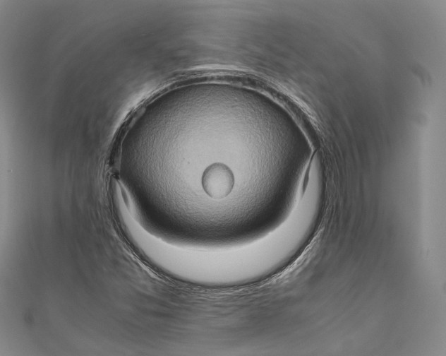 X0000110971357200907101340