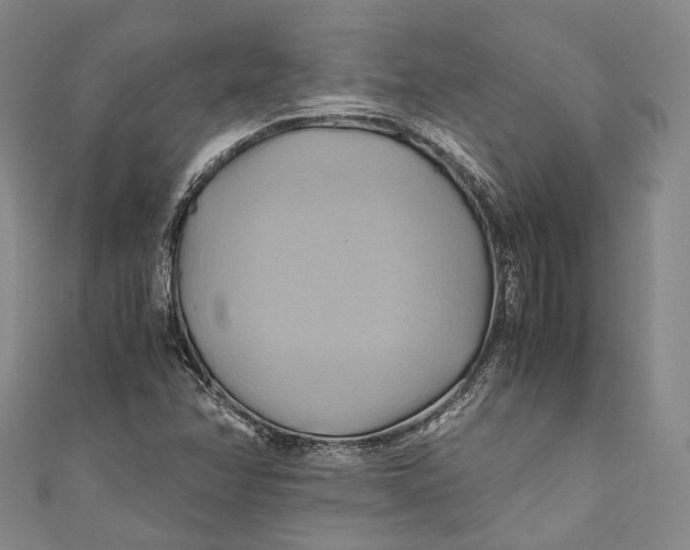 X0000110971358200907101340