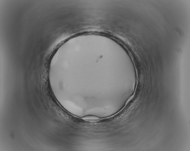 X0000110971359200907101340