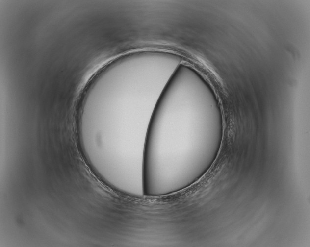 X0000110971360200907101340