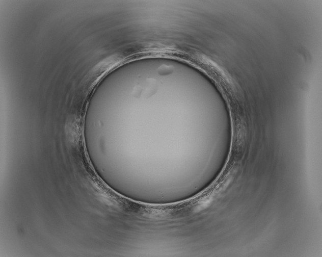 X0000110971361200907101340