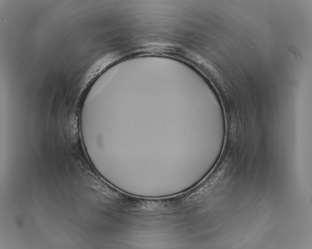 X0000110971362200907101340