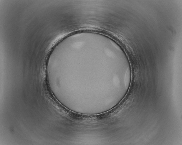 X0000110971363200907101340