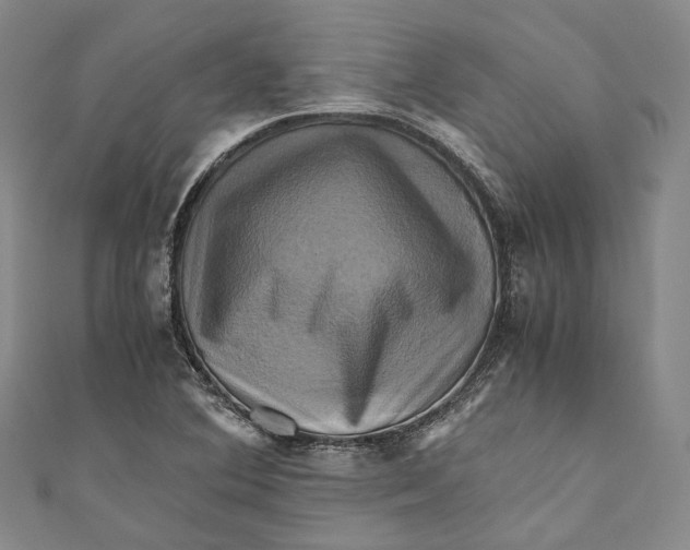 X0000110971364200907101340