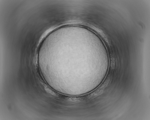 X0000110971366200907101340