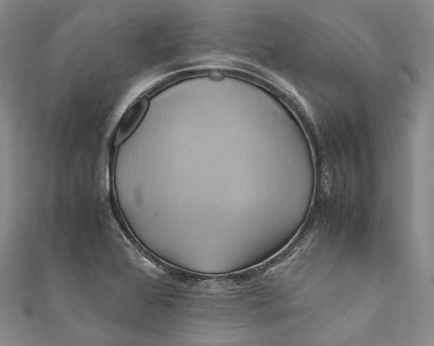 X0000110971368200907101340