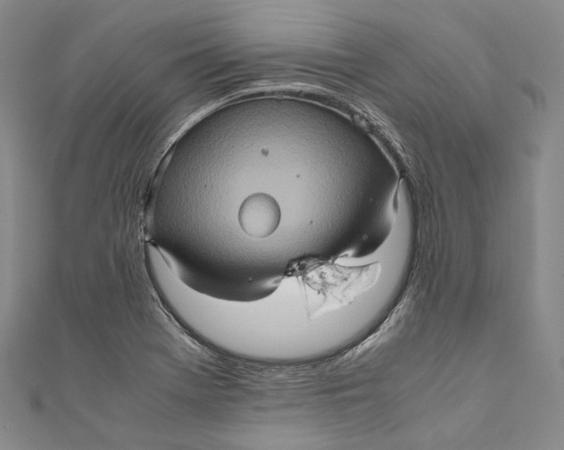 X0000110971369200907101340