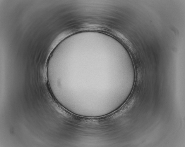 X0000110971370200907101340