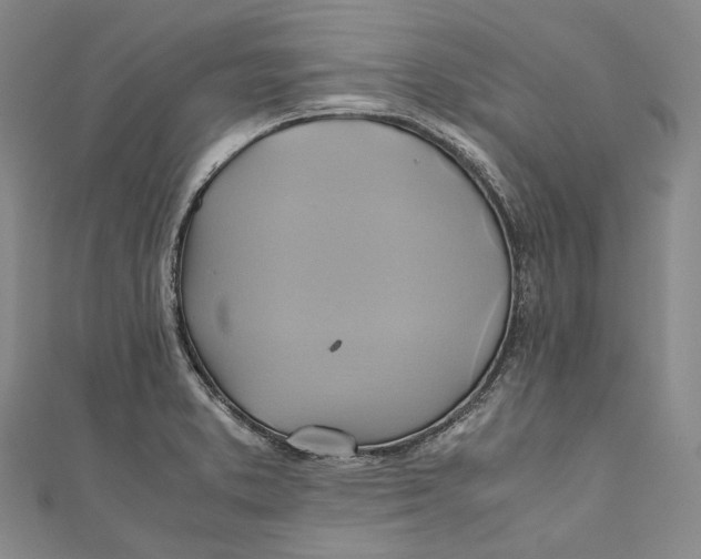 X0000110971373200907101340