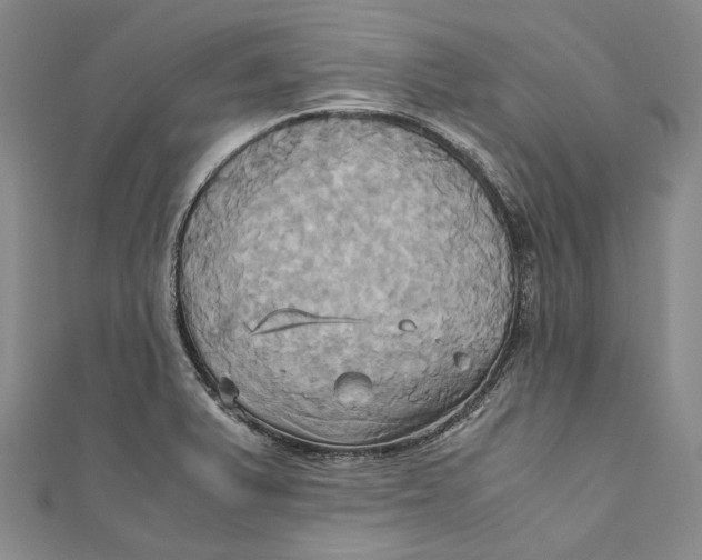 X0000110971375200907101340