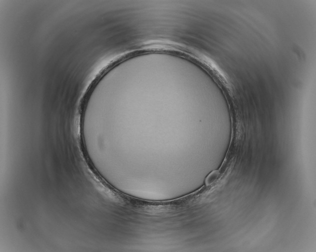 X0000110971376200907101340