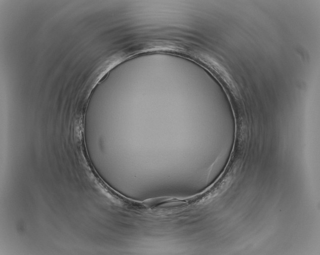 X0000110971377200907101340